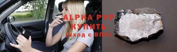 PSILOCYBIN Ельня