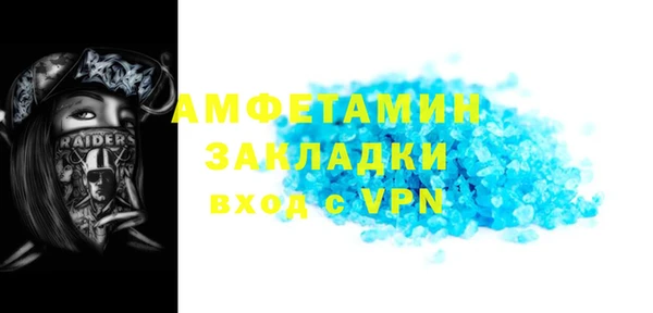 PSILOCYBIN Ельня