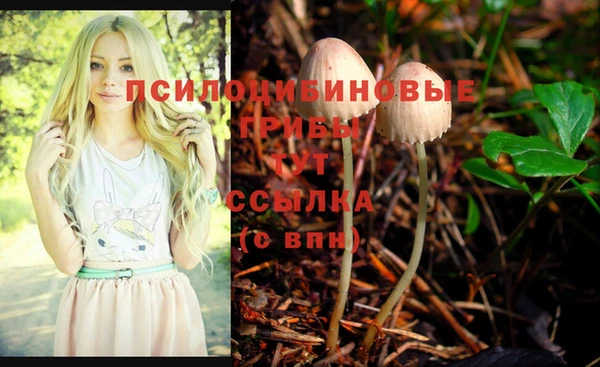 прущая мука Елабуга