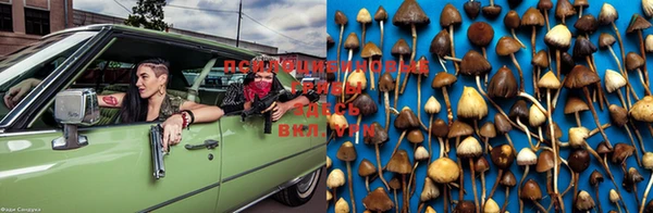 PSILOCYBIN Ельня