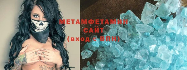 PSILOCYBIN Ельня