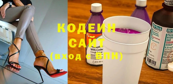 PSILOCYBIN Ельня