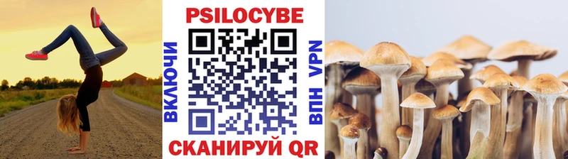 Псилоцибиновые грибы MAGIC MUSHROOMS  hydra ONION  Калининград  наркошоп 
