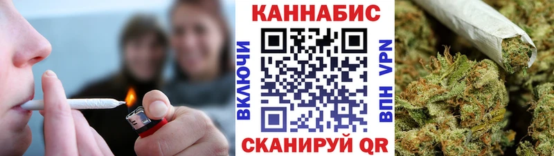 где найти   Калининград  Конопля индика 
